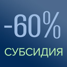 Предоставлениесубсидии